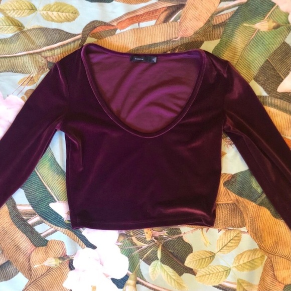 Aritzia Tops - Aritzia Talula Velvet Long Sleeve Crop Top